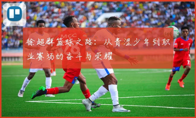 徐超群篮球之路：从青涩少年到职业赛场的奋斗与荣耀