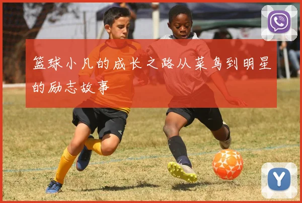篮球小凡的成长之路从菜鸟到明星的励志故事
