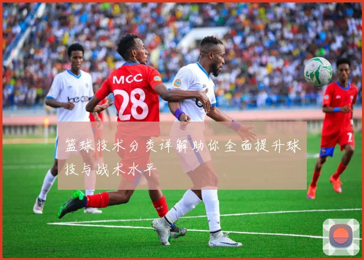 篮球技术分类详解助你全面提升球技与战术水平