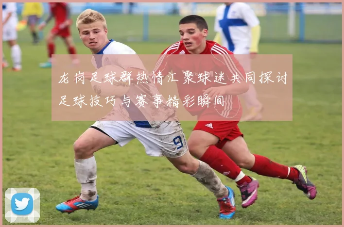 龙岗足球群热情汇聚球迷共同探讨足球技巧与赛事精彩瞬间