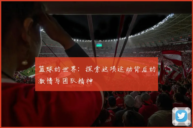 篮球的世界：探索这项运动背后的激情与团队精神